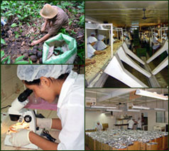 Verarbeitung und Distribution Verarbeitung und Distribution